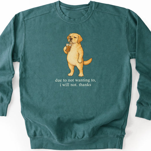 Labrador Retriever I Will Not design with iced coffee on a blue spruce sweatshirt