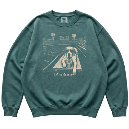 Blue Spruce Pointer Football Tailgate sweatshirt laid flat