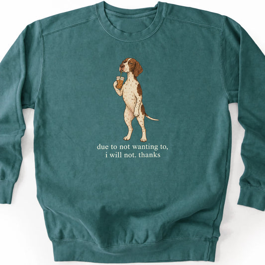 Pointer I Will Not design with iced coffee on a blue spruce sweatshirt