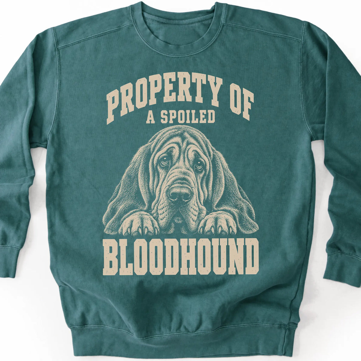 Blue Spruce Bloodhound sweatshirt with a dog portrait and “Property of a Spoiled” lettering.