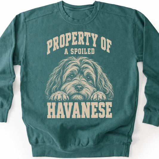 Blue Spruce Havanese sweatshirt with a dog portrait and “Property of a Spoiled” lettering.