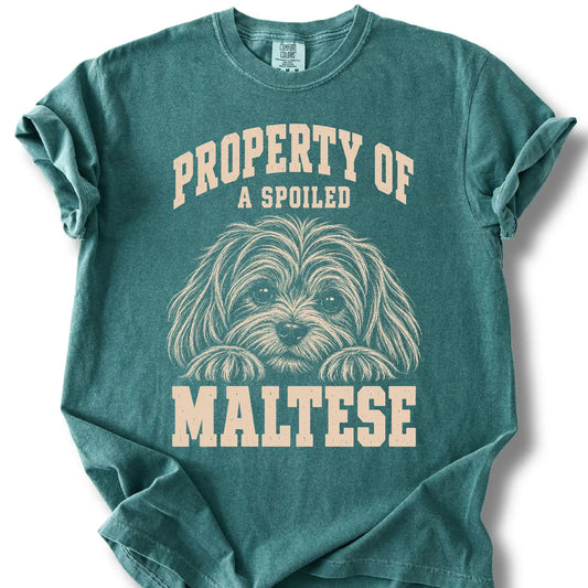 Blue Spruce Maltese T-shirt with a dog portrait and “Property of a Spoiled” lettering.