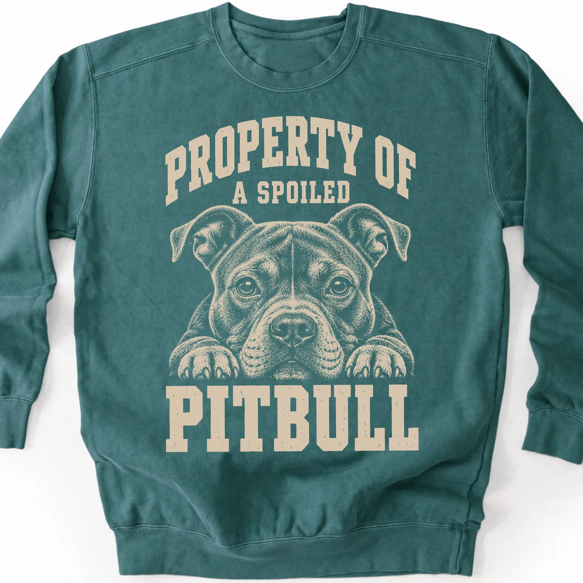 Blue Spruce Pitbull sweatshirt with a dog portrait and “Property of a Spoiled” lettering.