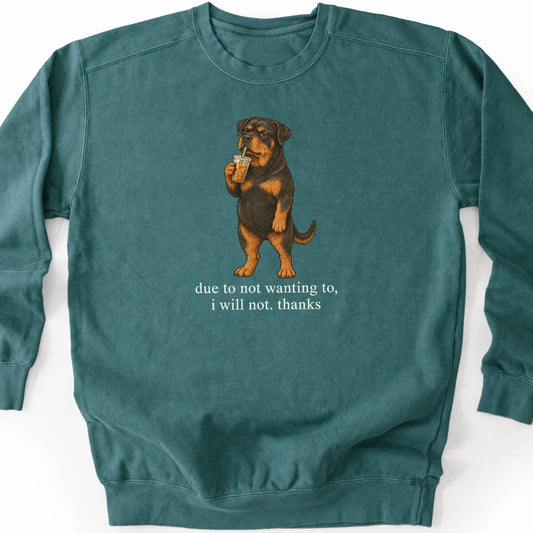 Rottweiler I Will Not design with iced coffee on a blue spruce sweatshirt