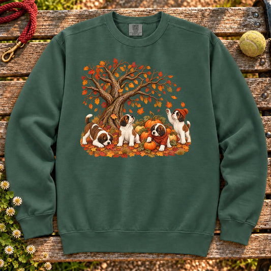 Saint Bernard puppies in an autumn pumpkin patch on a Blue Spruce garment-dyed sweatshirt