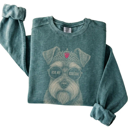 Blue Spruce Comfort Colors sweatshirt featuring Schnauzer Ask My Assistant, folded presentation