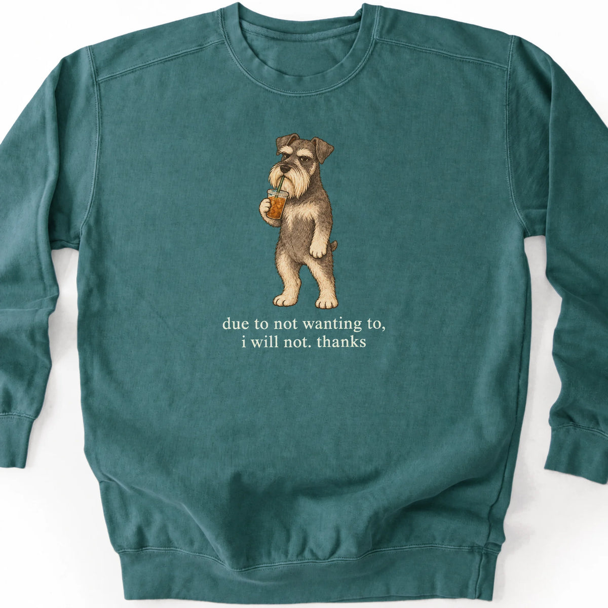Schnauzer I Will Not design with iced coffee on a blue spruce sweatshirt