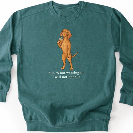 Vizsla I Will Not design with iced coffee on a blue spruce sweatshirt