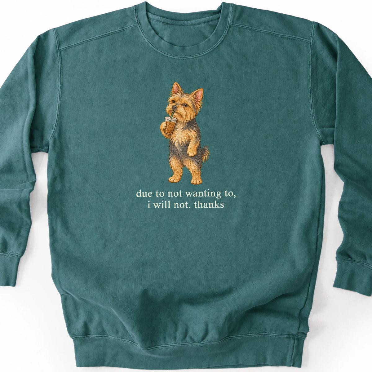 Yorkie I Will Not design with iced coffee on a blue spruce sweatshirt