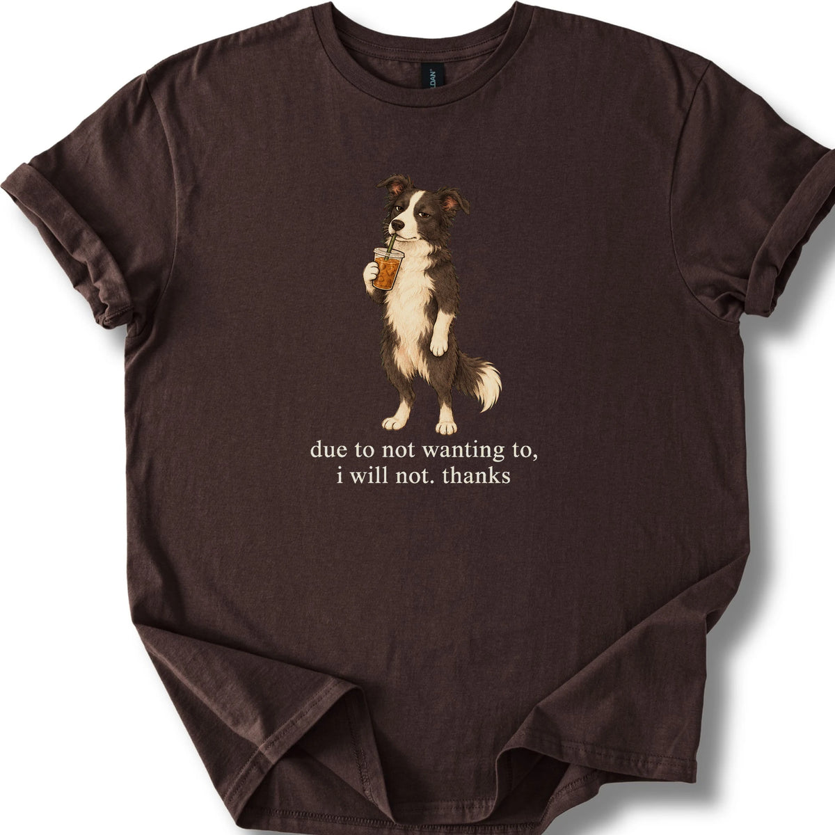 Border Collie I Will Not design with iced coffee on a dark chocolate T-shirt