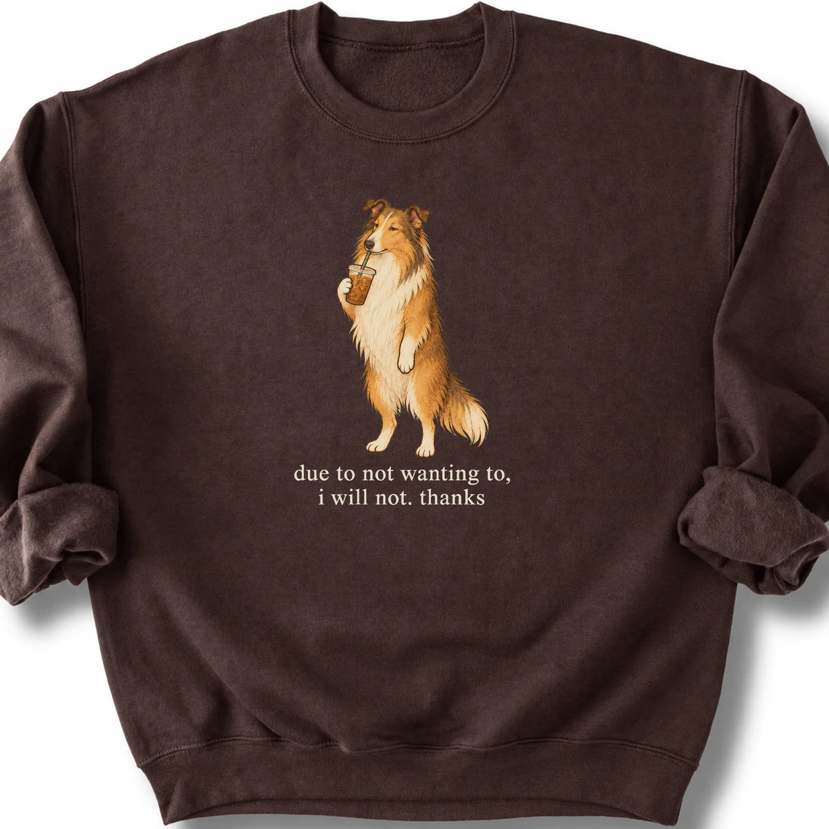 Collie I Will Not design with iced coffee on a dark chocolate sweatshirt