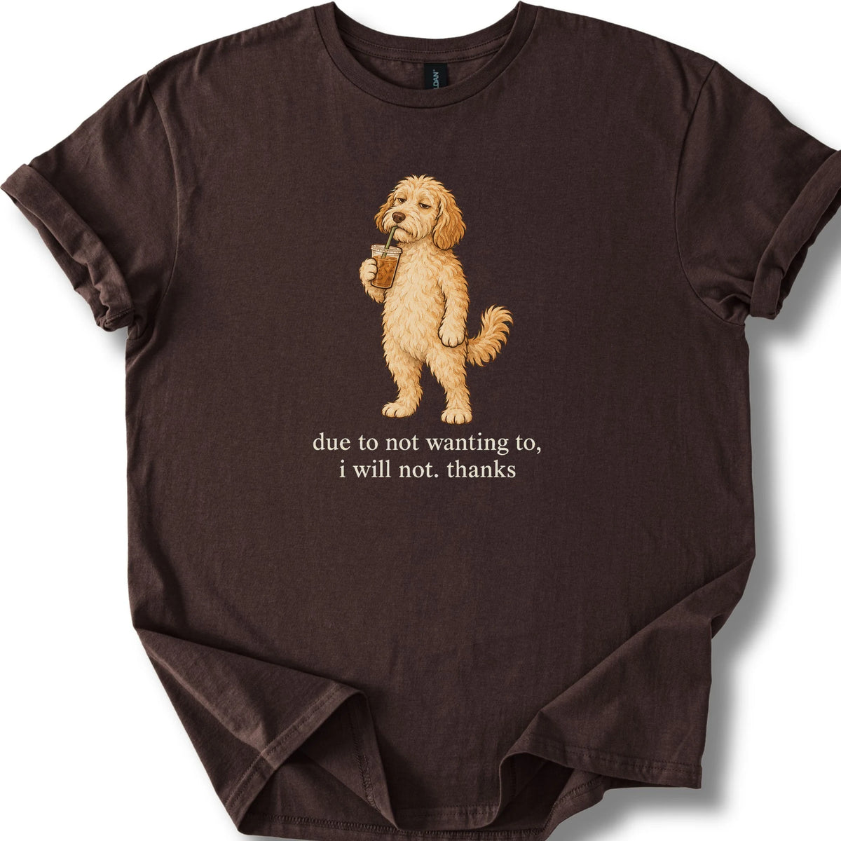 Labradoodle I Will Not design with iced coffee on a dark chocolate T-shirt