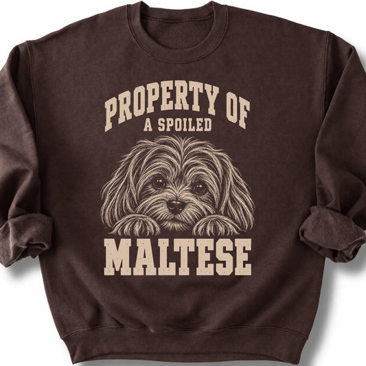 Dark Chocolate Maltese sweatshirt with a dog portrait and “Property of a Spoiled” lettering.