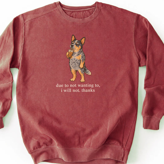 Blue Heeler I Will Not design with iced coffee on a crimson sweatshirt
