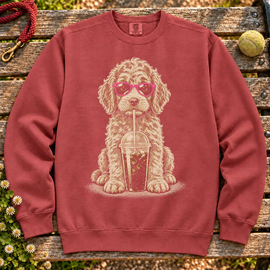 Goldendoodle drinking cold coffee in pink sunglasses on Crimson sweatshirt