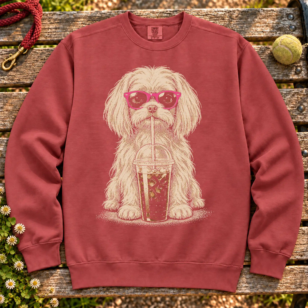 Maltese drinking cold coffee in pink sunglasses on Crimson sweatshirt
