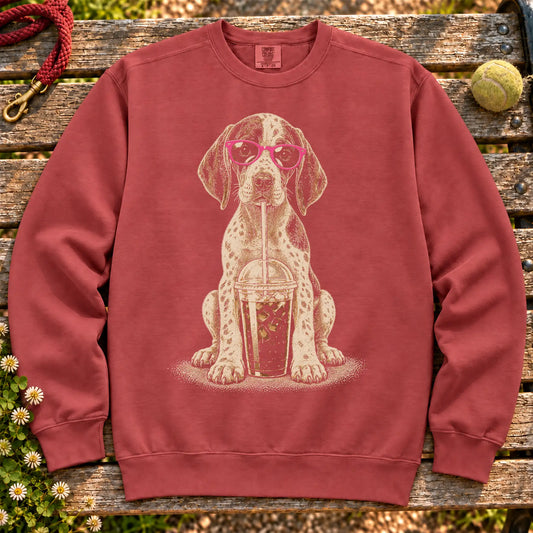 Pointer drinking cold coffee in pink sunglasses on Crimson sweatshirt