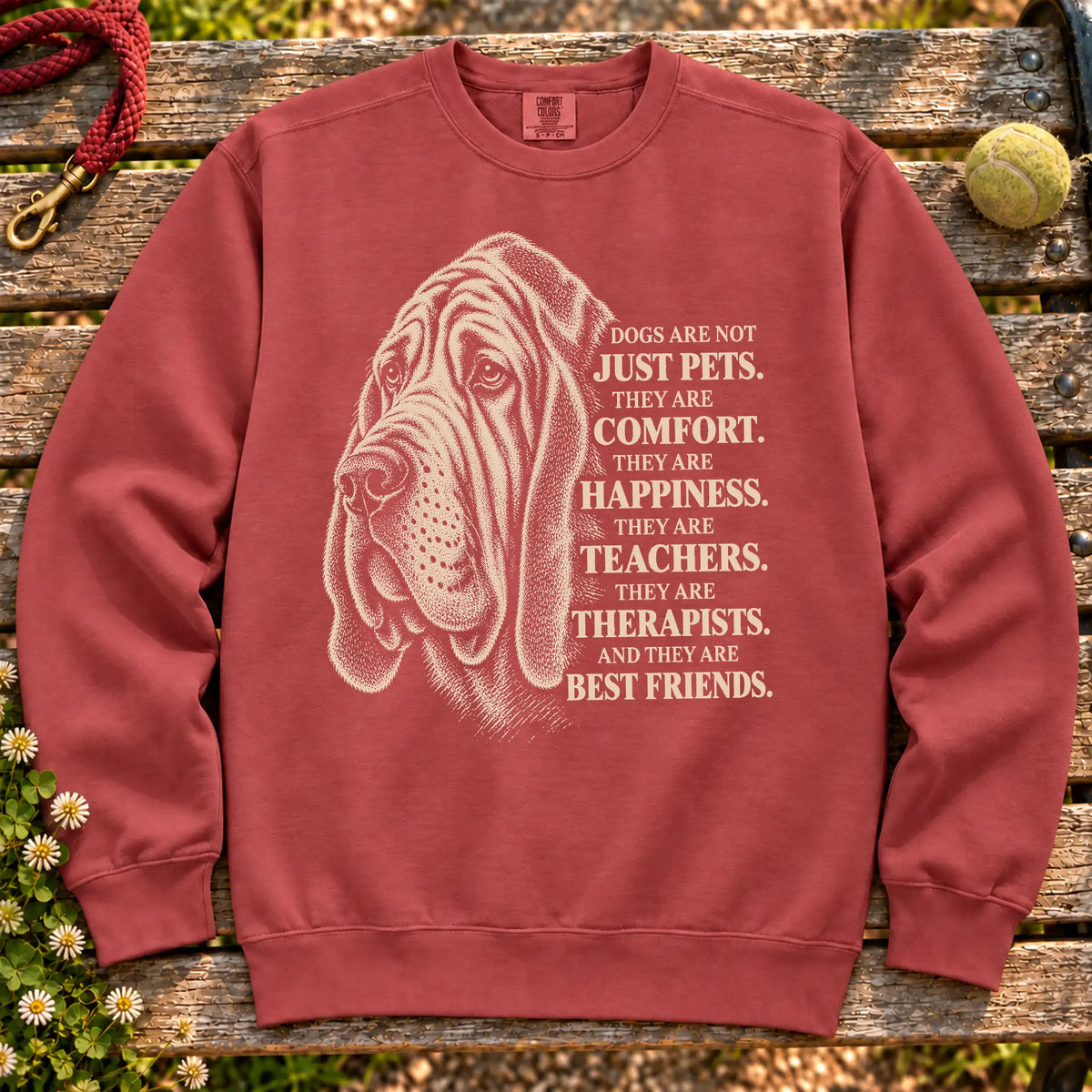 Dogs Are Not Just Pets Bloodhound text design on a Crimson Comfort Colors sweatshirt