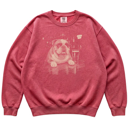 Crimson English Bulldog at a bar beside a pint, laid flat