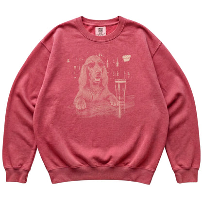 Crimson Irish Setter at a bar beside a pint, laid flat