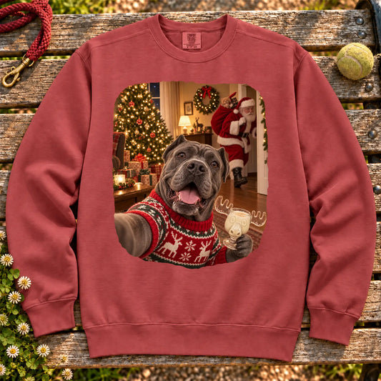 Cane Corso Eggnog Selfie design on a Crimson Comfort Colors® sweatshirt