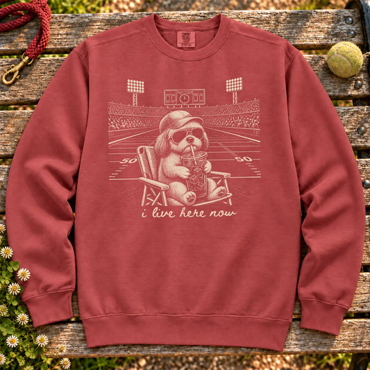 Shih Tzu I live here now on a Crimson crewneck sweatshirt, shown flat