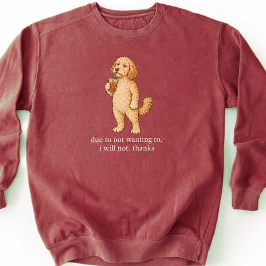 Labradoodle I Will Not design with iced coffee on a crimson sweatshirt