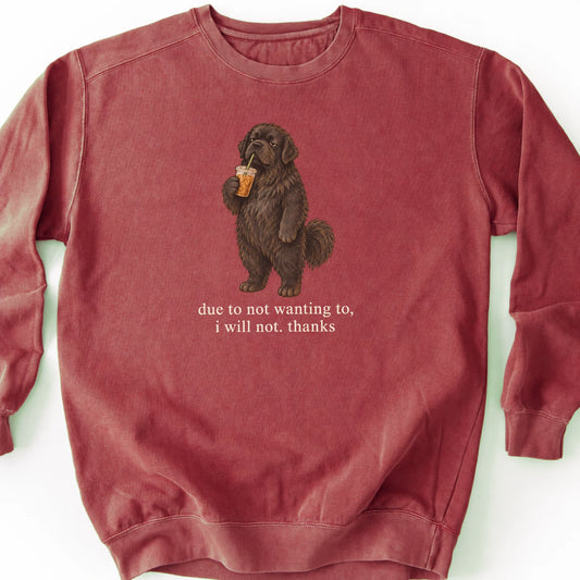 Newfie I Will Not design with iced coffee on a crimson sweatshirt