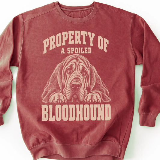 Crimson Bloodhound sweatshirt with a dog portrait and “Property of a Spoiled” lettering.