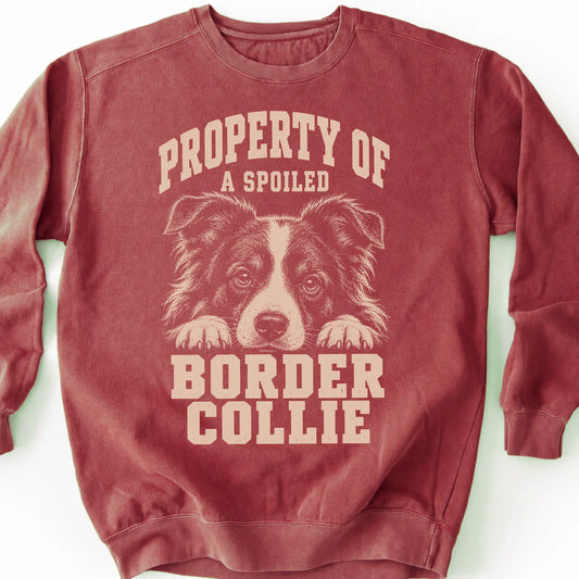 Crimson Border Collie sweatshirt with a dog portrait and “Property of a Spoiled” lettering.