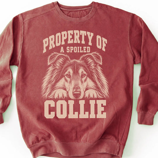 Crimson Collie sweatshirt with a dog portrait and “Property of a Spoiled” lettering.