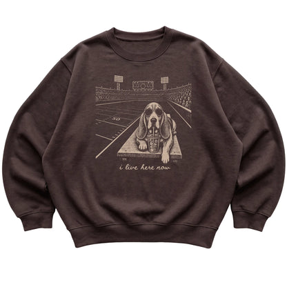 Dark Chocolate Basset Hound Football Tailgate sweatshirt, laid flat