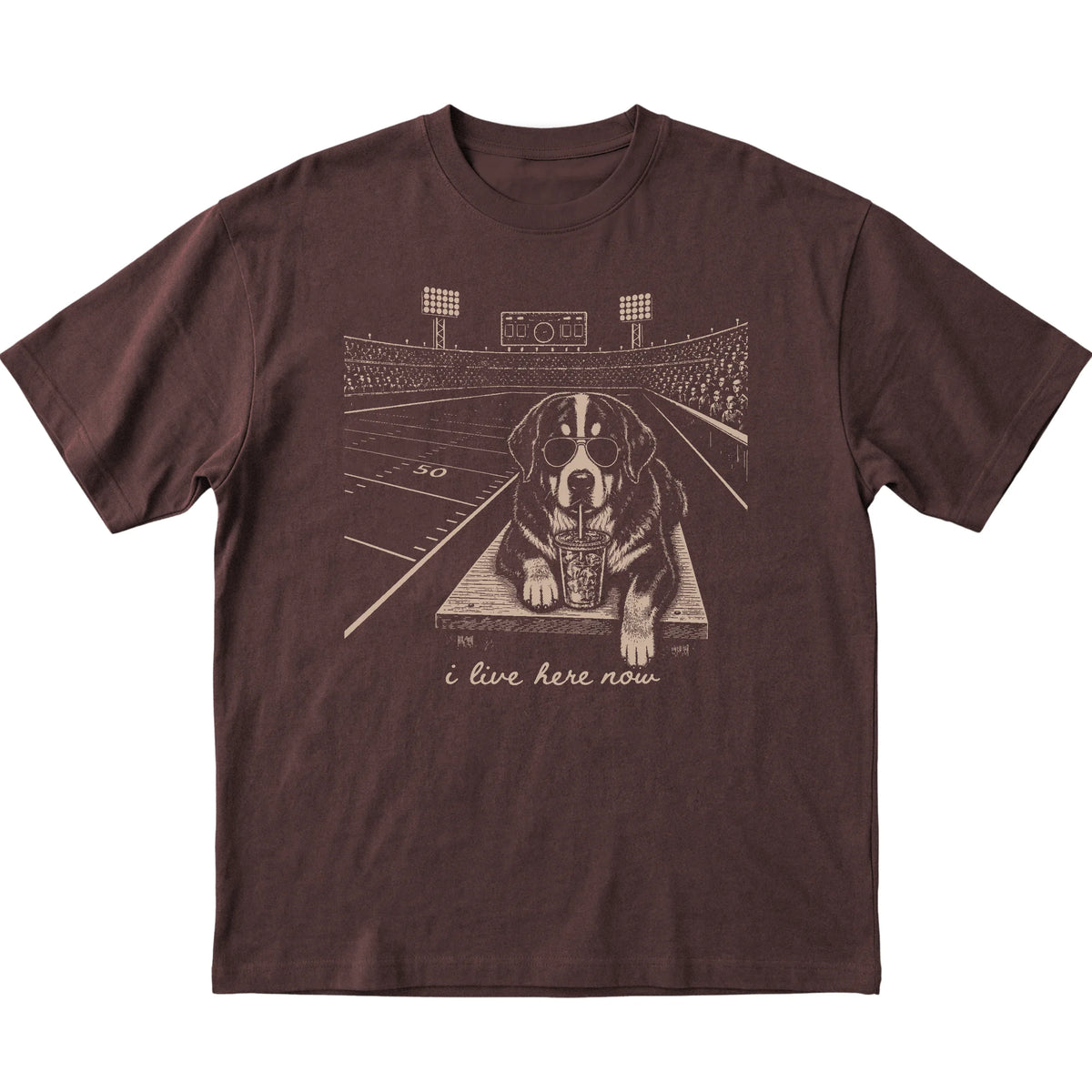 Dark Chocolate Bernese Mountain Dog Football Tailgate T-shirt, laid flat