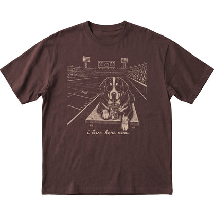 Dark Chocolate Bernese Mountain Dog Football Tailgate T-shirt, laid flat