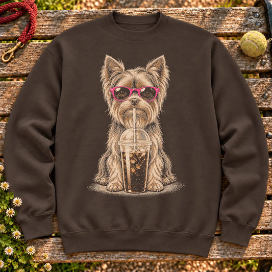 Yorkie drinking cold coffee in pink sunglasses on Dark Chocolate sweatshirt
