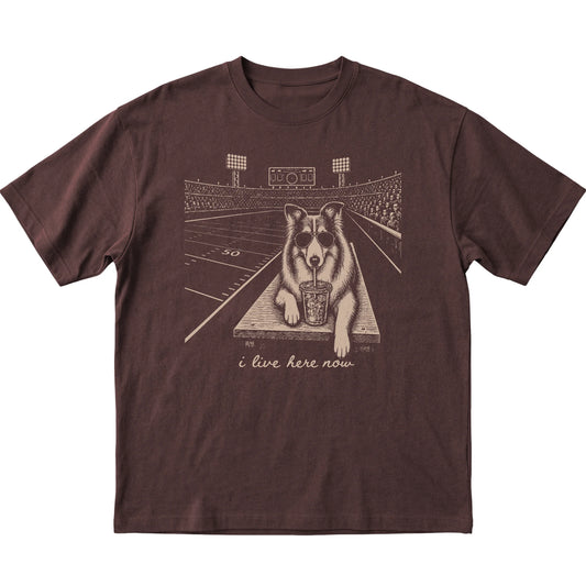 Dark Chocolate Collie Football Tailgate T-shirt, laid flat