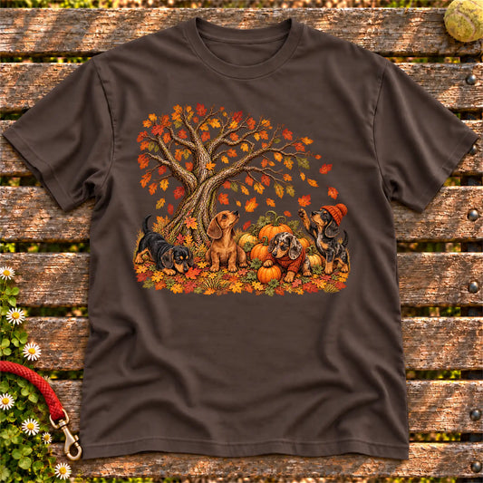 Four Dachshund puppies with pumpkins beneath an autumn tree on a Dark Chocolate softstyle T-shirt
