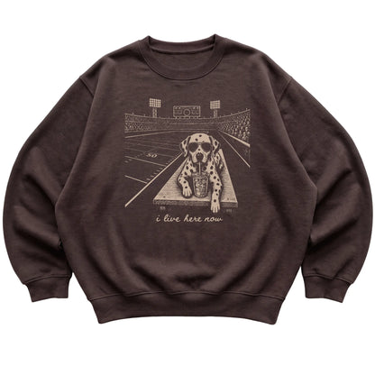 Dark Chocolate Dalmatian Football Tailgate sweatshirt, laid flat