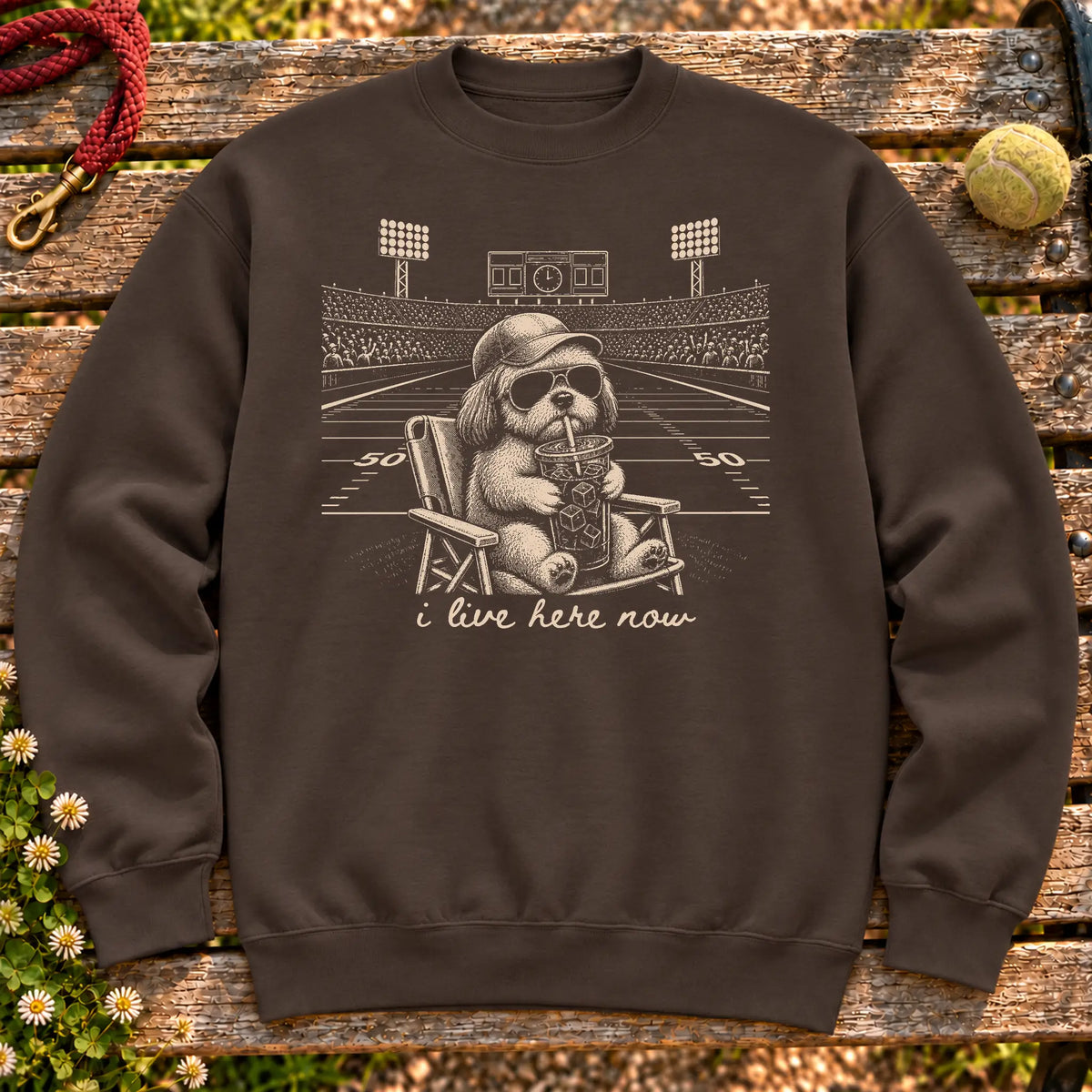 Shih Tzu I live here now on a Dark Chocolate crewneck sweatshirt, shown flat