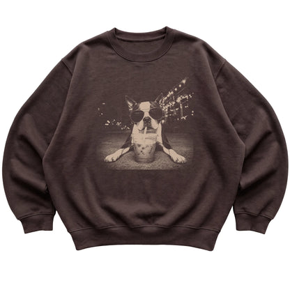 Boston Terrier wearing aviator sunglasses and drinking iced coffee on a Dark Chocolate Gildan Heavy Blend Crewneck Sweatshirt, flat lay view