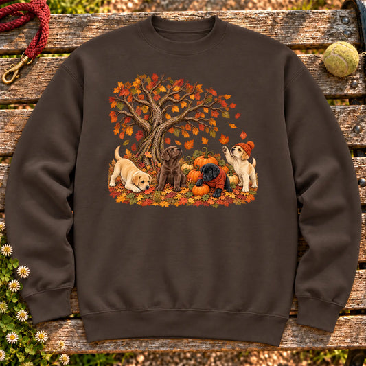 Four Labrador Retriever puppies with pumpkins beneath an autumn tree on a Dark Chocolate crewneck sweatshirt