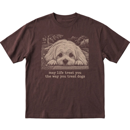Maltese Karma Softstyle T-shirt in Dark Chocolate — Flat Lay