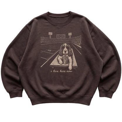 Dark Chocolate Springer Spaniel Football Tailgate sweatshirt, laid flat
