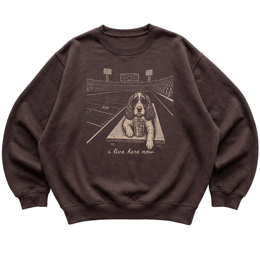 Dark Chocolate Springer Spaniel Football Tailgate sweatshirt, laid flat