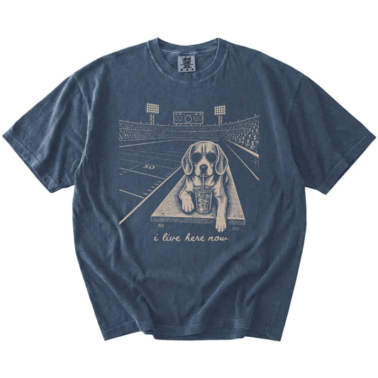 Beagle ready for football and tailgate season on a Denim Comfort Colors® T-shirt