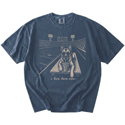 Belgian Malinois ready for football and tailgate season on a Denim Comfort Colors® T-shirt