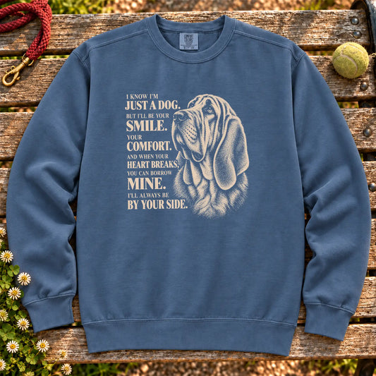 Denim Comfort Colors® sweatshirt featuring the Bloodhound By Your Side design.