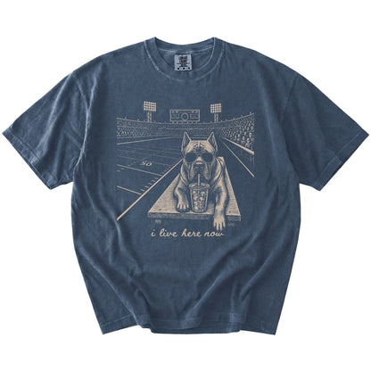 Cane Corso ready for football and tailgate season on a Denim Comfort Colors® T-shirt