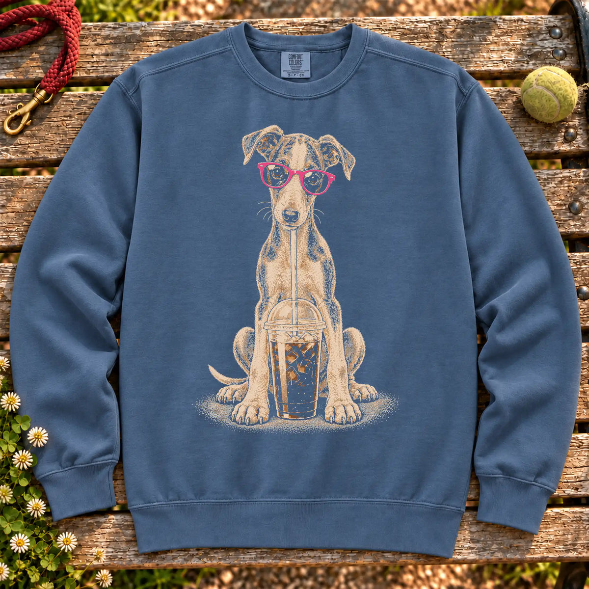 Greyhound drinking cold coffee in pink sunglasses on Denim sweatshirt
