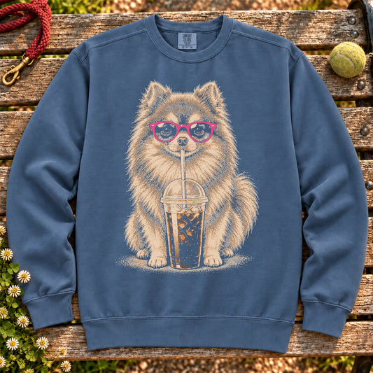 Pomeranian drinking cold coffee in pink sunglasses on Denim sweatshirt